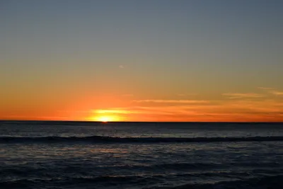 DSC_1307 (Large).JPG